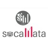 Socamata Statistics Consultant